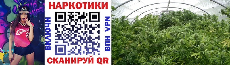 Что такое Козловка МЕТАМФЕТАМИН  Гашиш 