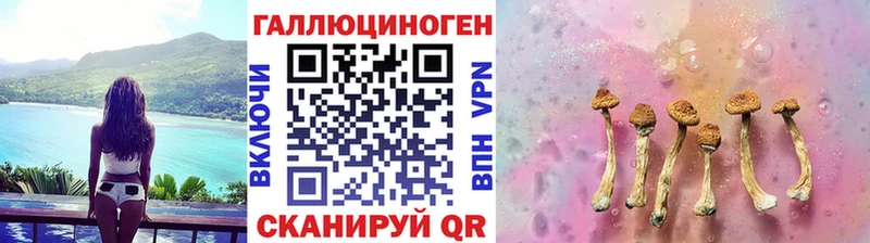 купить наркотики цена  Козловка  Галлюциногенные грибы мицелий 