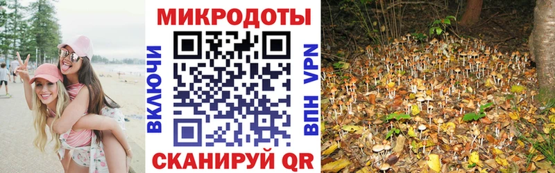 Галлюциногенные грибы MAGIC MUSHROOMS Козловка
